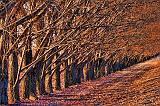 Poplar Row_07713